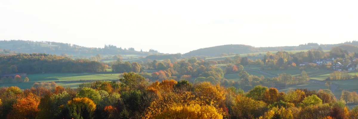 Herbstlicher Blick auf den Hoherodskopf