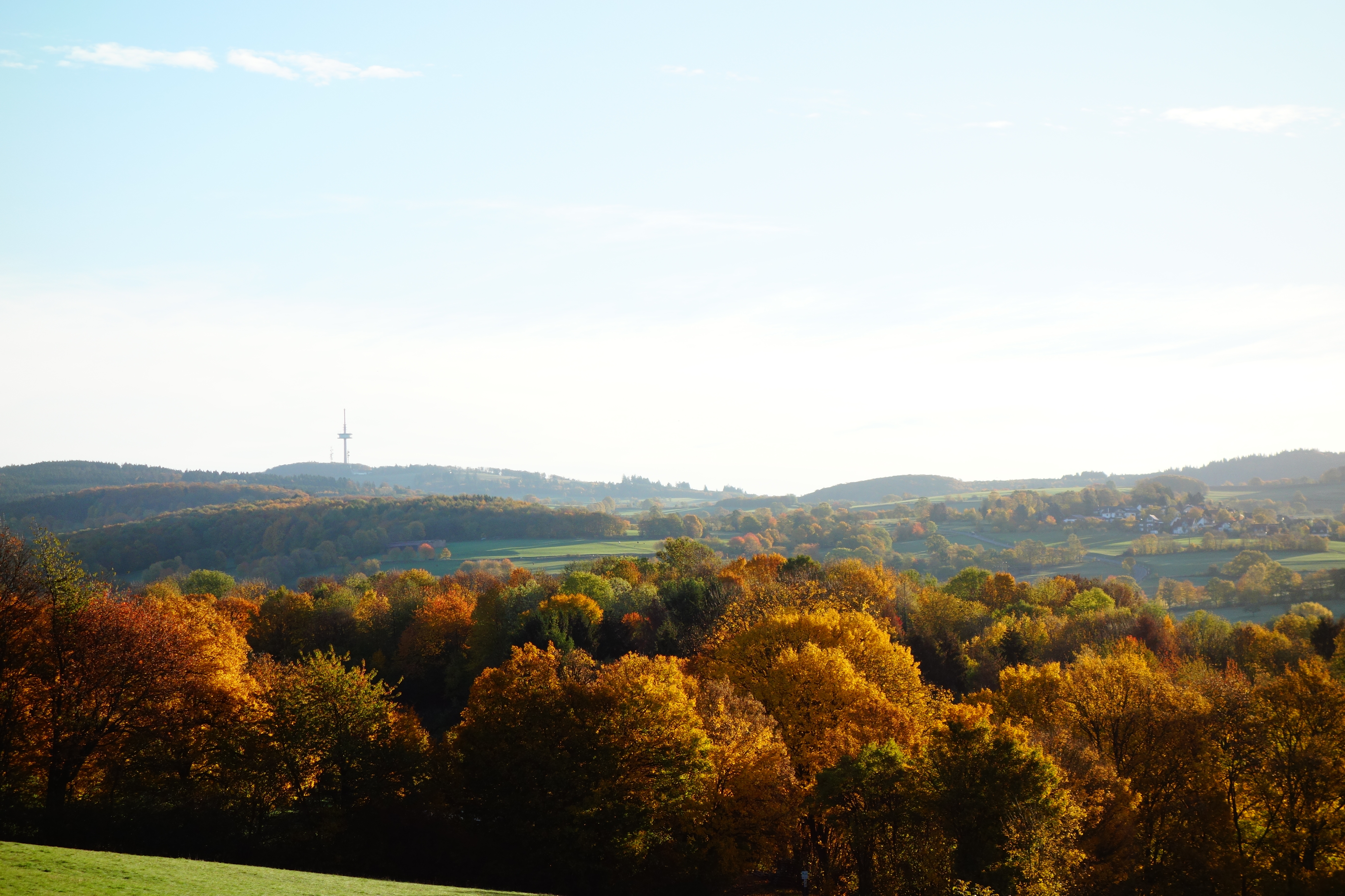 Bild Hoherodskopf im Herbst