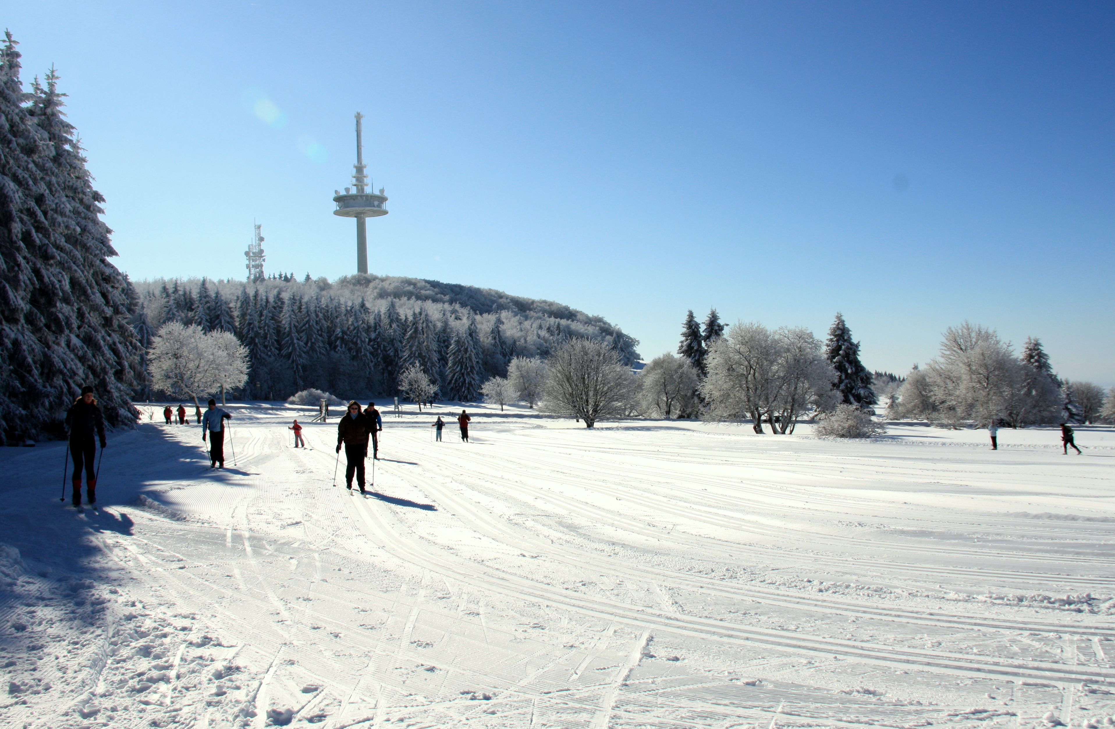 Bild vom Hoherodskopf im Winter