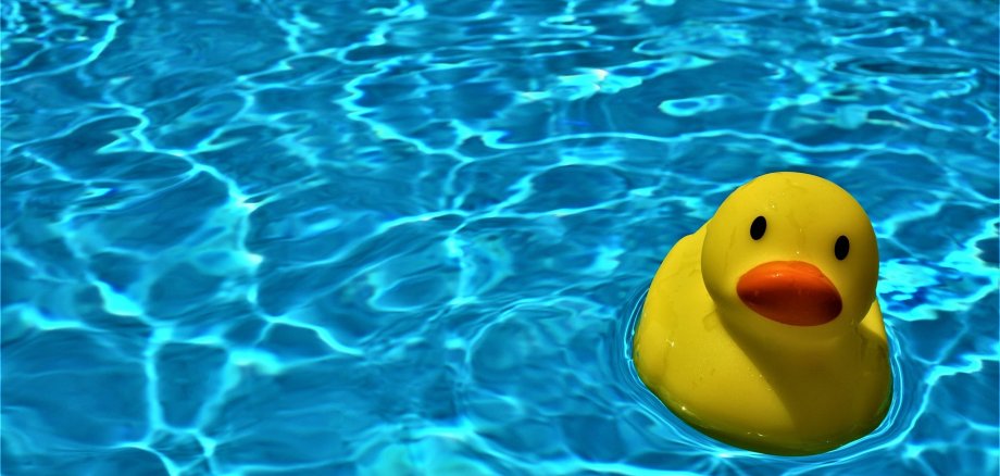 BIld: quitsche-Ente im Schwimmbecken